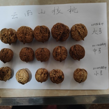 云南核桃新干簿皮核桃山货泡核桃老树核桃量大从优