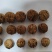 云南核桃新干簿皮核桃山货泡核桃老树核桃量大从优