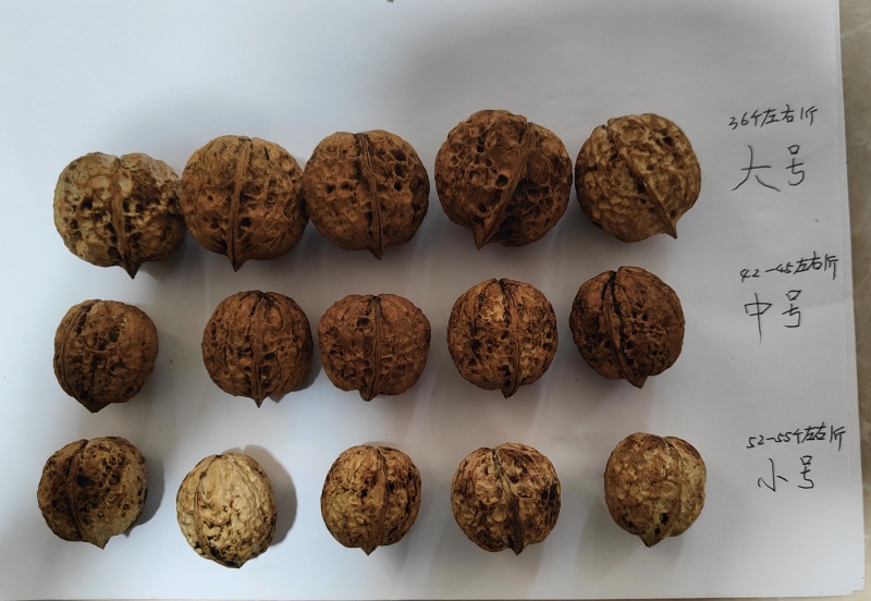 云南核桃新干簿皮核桃山货泡核桃老树核桃量大从优
