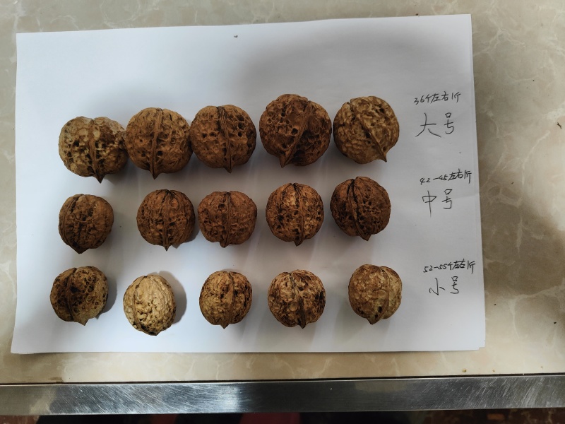 云南核桃新干簿皮核桃山货泡核桃老树核桃量大从优