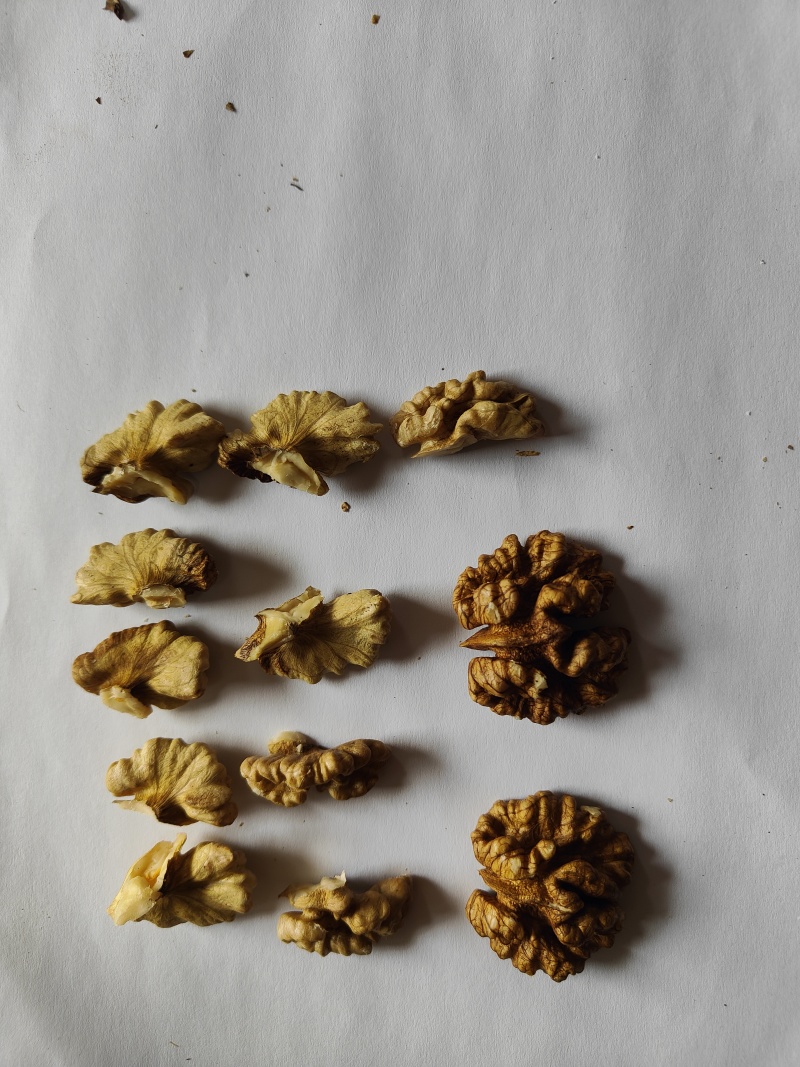 云南核桃新干簿皮核桃山货泡核桃老树核桃量大从优
