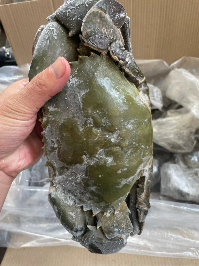 青蟹400/1000克每只