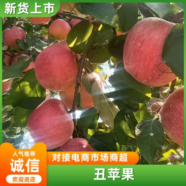 糖心丑苹果大量上市了需要的老板请联系我！