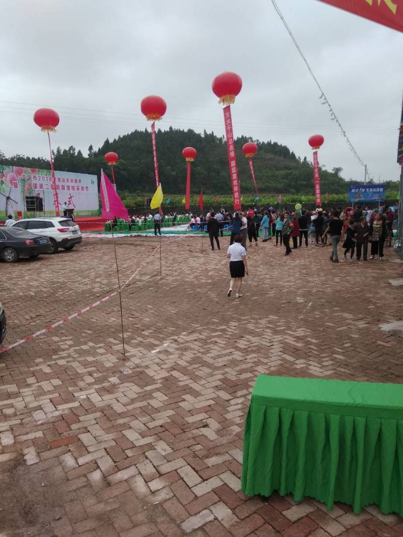 桃树苗嫁接苗胭脂脆桃苗早熟桃品种技术支持…