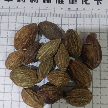 使君子，柯子新货无硫产地直发质量保证，现货