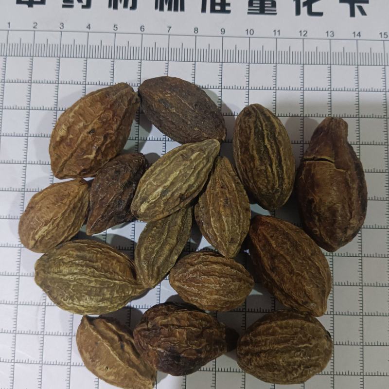 使君子，柯子新货无硫产地直发质量保证，现货