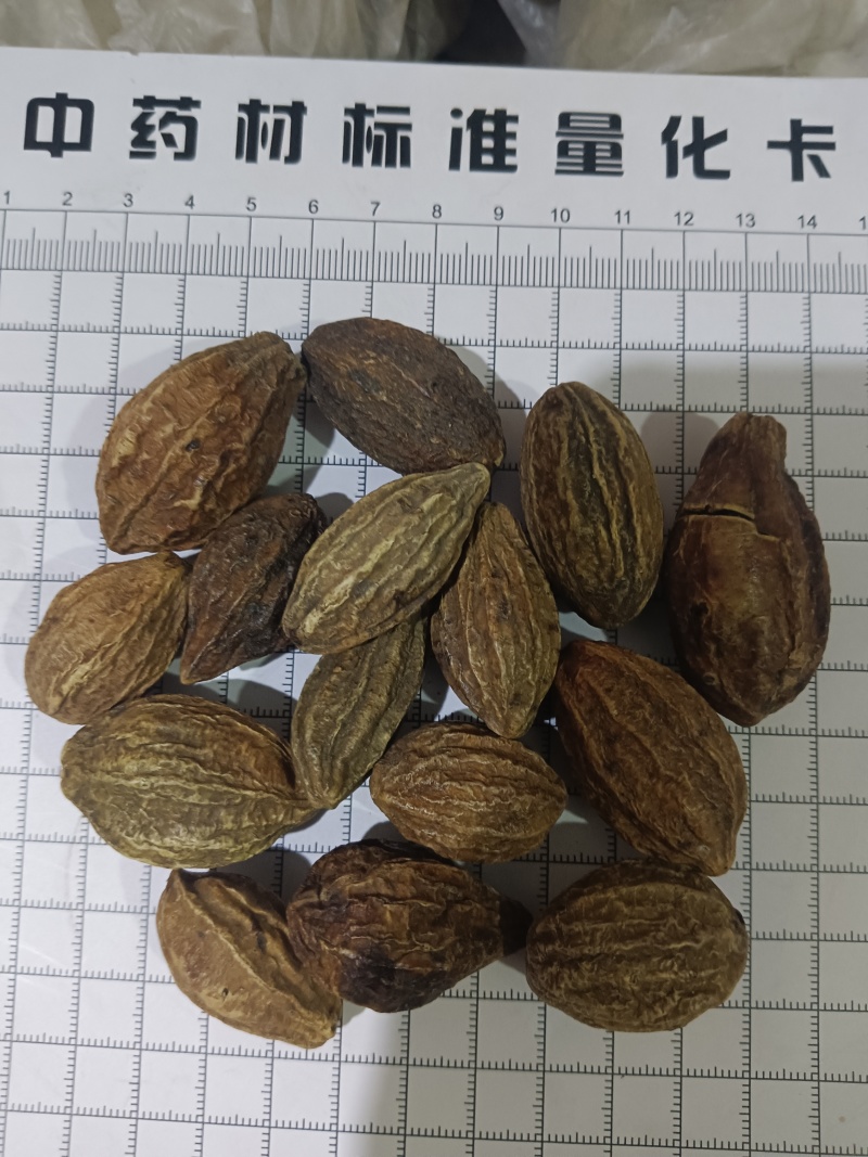 使君子，柯子新货无硫产地直发质量保证，现货