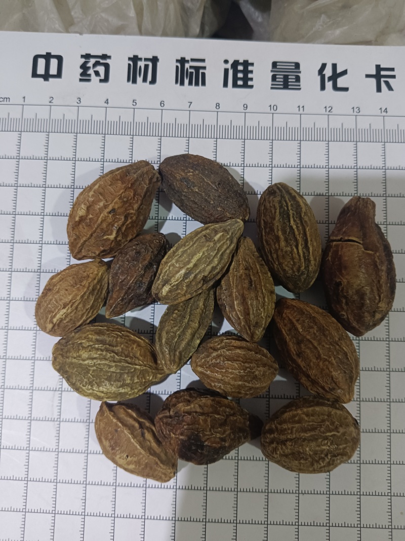 使君子，柯子新货无硫产地直发质量保证，现货