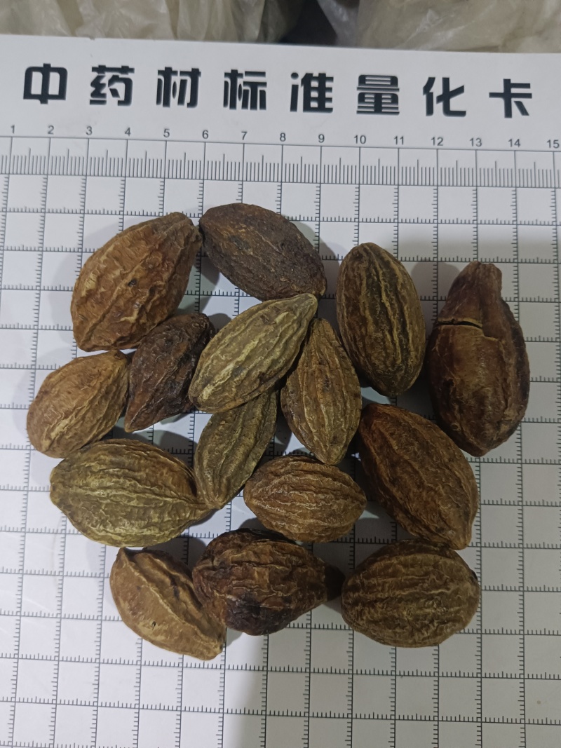 使君子，柯子新货无硫产地直发质量保证，现货
