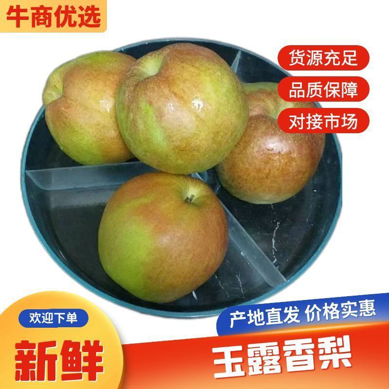 玉露香梨，山西运城夏县，冷库货，供货到5月份