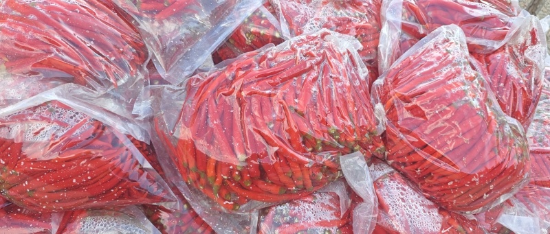 贵州二荆条的泡椒