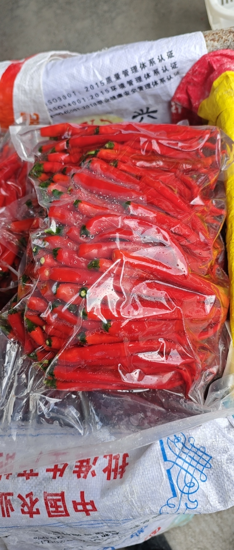贵州二荆条的泡椒