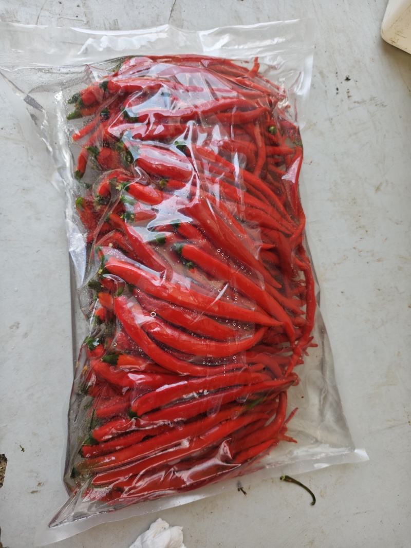 贵州二荆条的泡椒