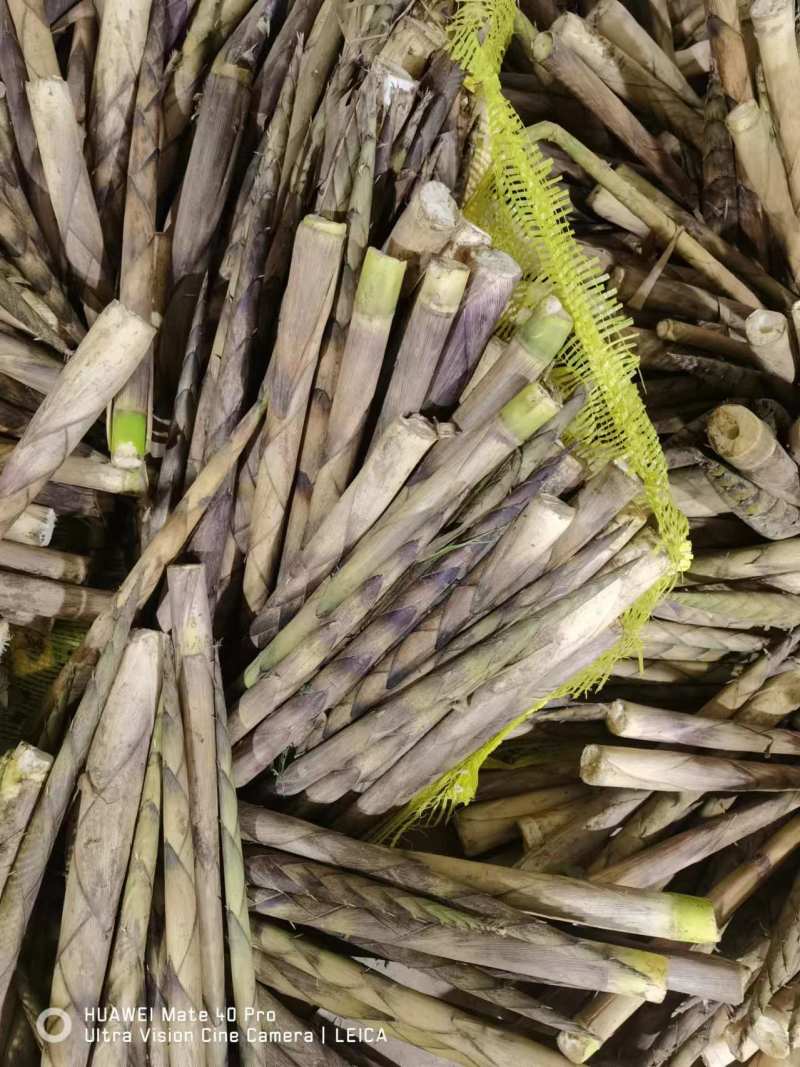 新鲜竹笋基地供货货源充足口感好可视频看货欢迎咨询