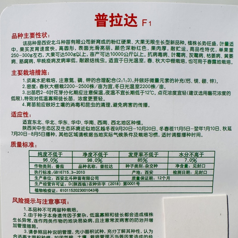 普拉达粉红番茄种籽大果早熟高产抗病深粉硬果西红柿种子