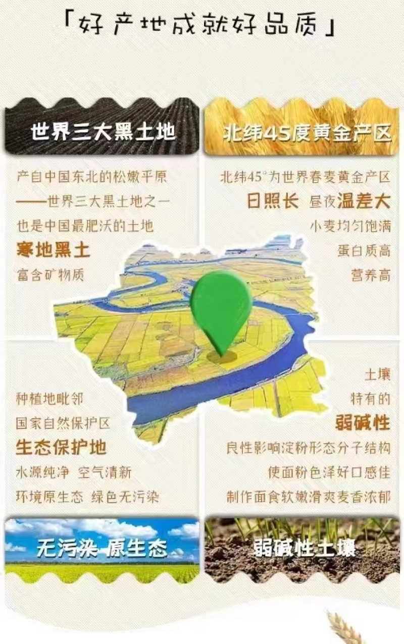 吉林小麦粉精选小麦面粉无添加厂家直销价格实惠欢迎电联