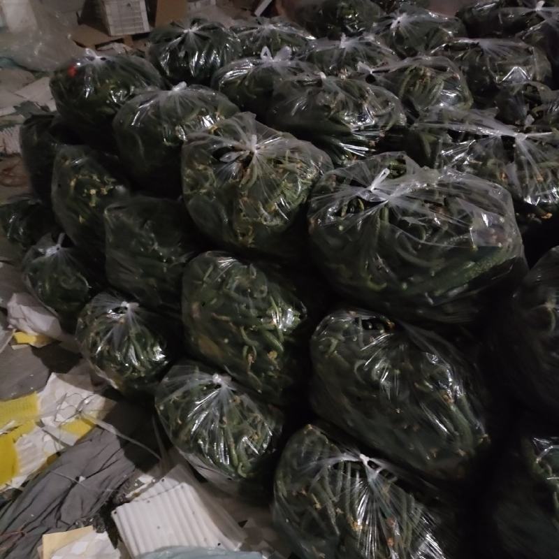 新鲜黄瓜扭