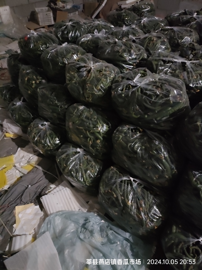 新鲜黄瓜扭