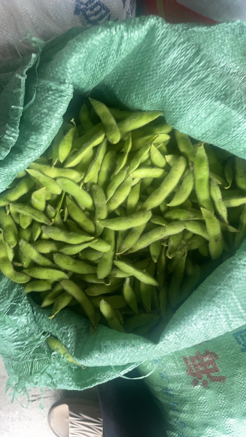 肃山6月半即将大量上市．欢迎大家光临