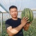 山东西瓜甜王西瓜产地直供货源充足包装齐全配车方便