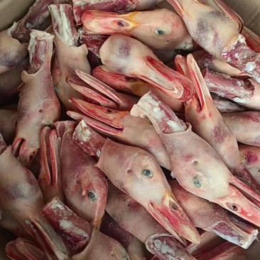 各种鸭头，货源充足