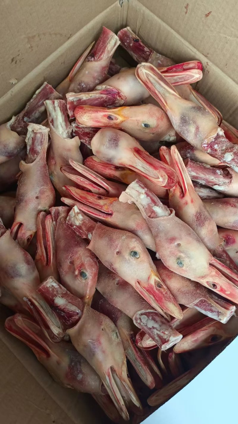 各种鸭头，货源充足