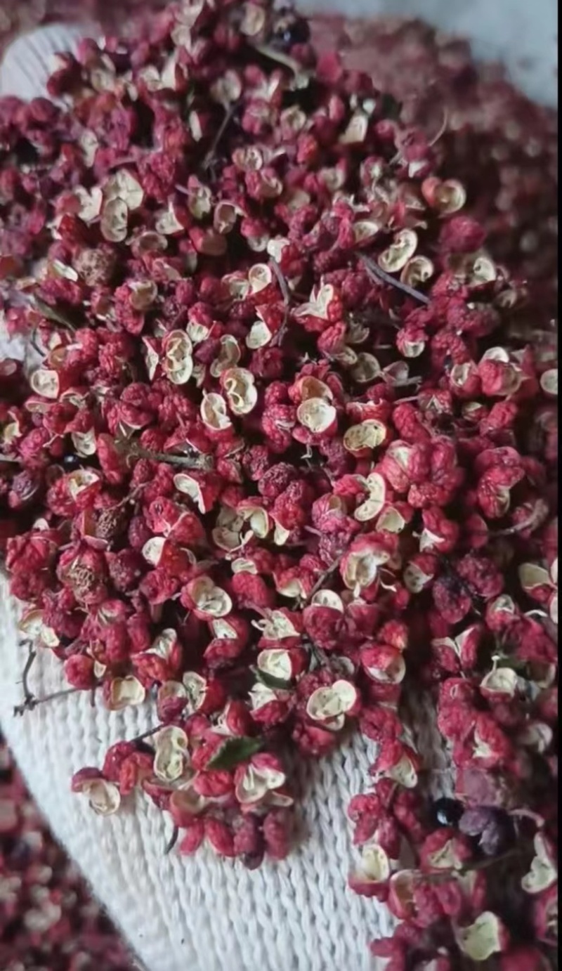 汉源花椒，清溪娃娃椒！青花椒