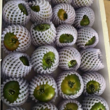 草莓番茄，铁皮柿子