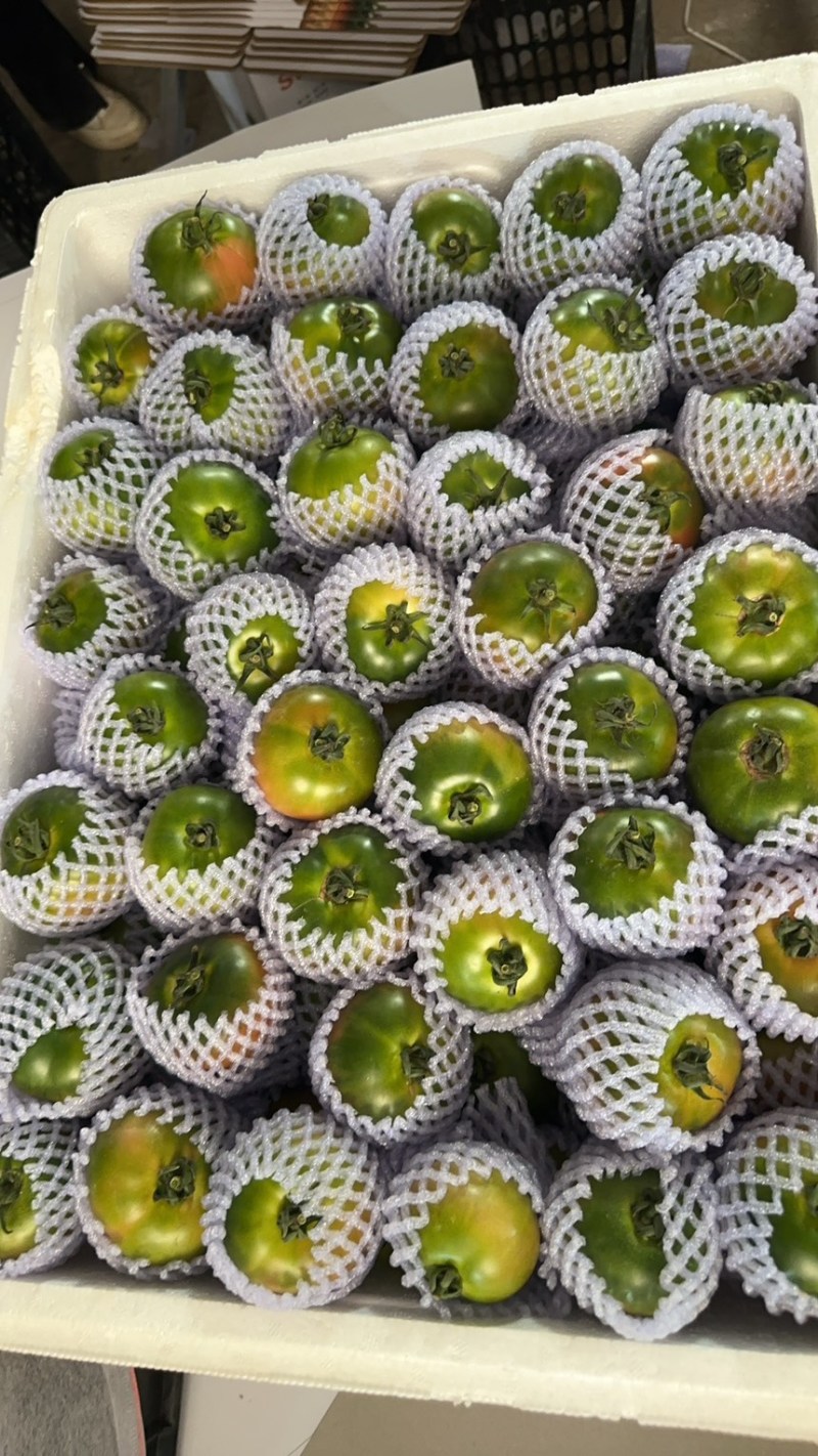 草莓番茄，铁皮柿子