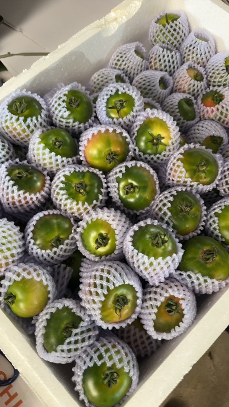 草莓番茄，铁皮柿子