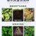 草木灰颗粒钾肥品质保证厂家直供量大从优