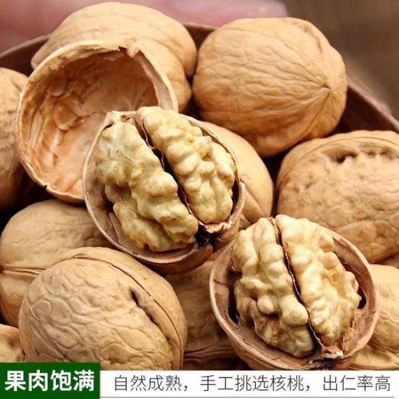 【实力热卖】精品纸皮核桃品质保证量大从优产地批发