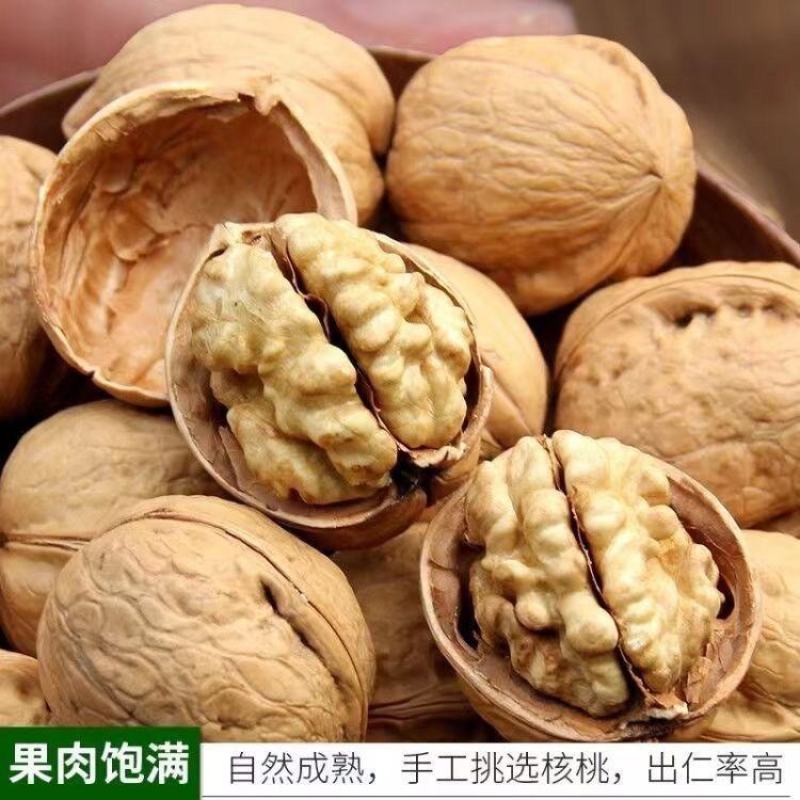 【实力热卖】精品纸皮核桃品质保证量大从优产地批发