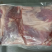 羔羊腩肉