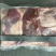 羔羊腩肉
