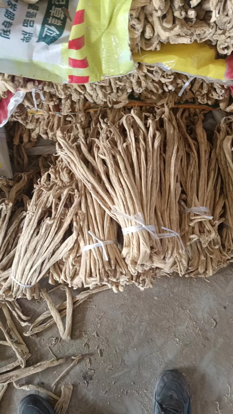供应精品白萝卜条，东北大根条，萝卜条，诚信合作！