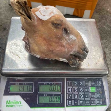 内蒙火烧羊头