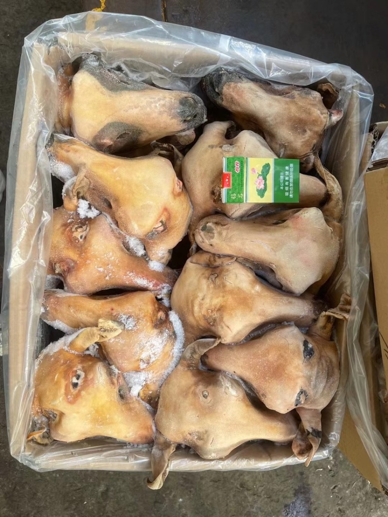 内蒙火烧羊头