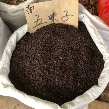 中药材五味子南五味子