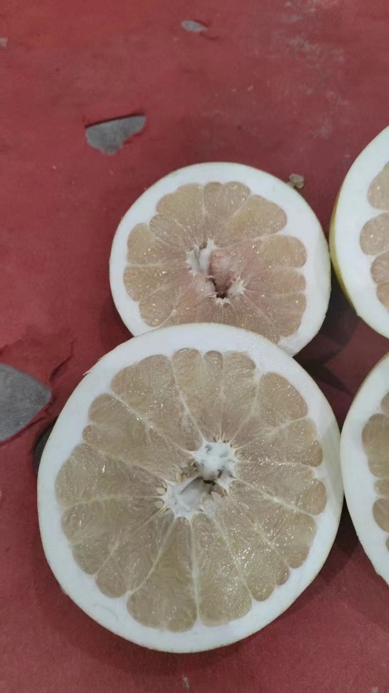 广西白柚果型好品质优价格美丽量大从优