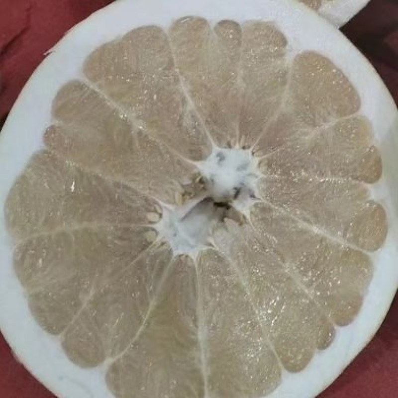 广西白柚果型好品质优价格美丽量大从优