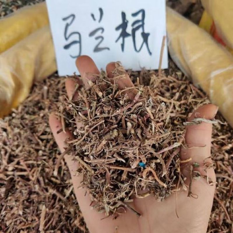 马兰根