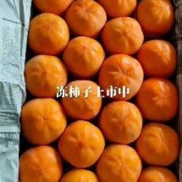 河北磨盘柿上市中，软柿子浓汁，供各大市场商超，电商，团批