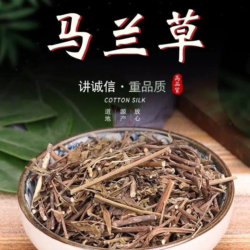 马兰草中药材马兰草路边菊鱼鳅串田边菊包邮