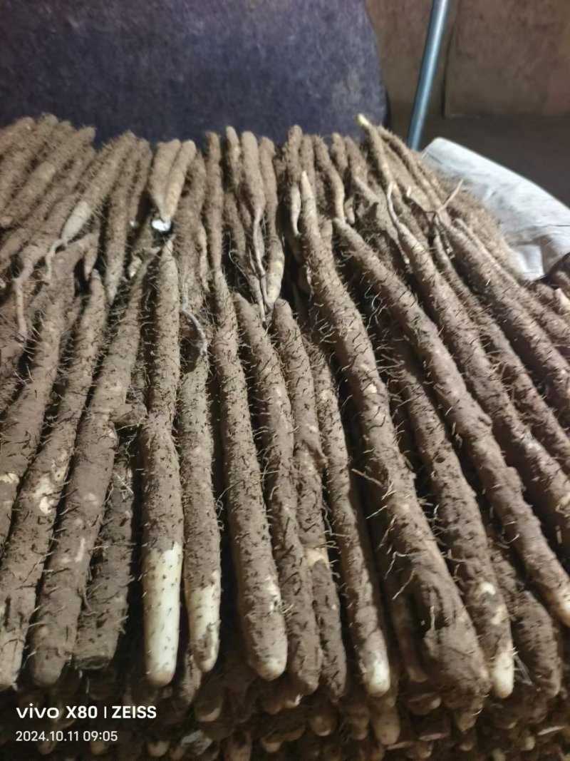河北山药小白嘴白山药产地一手货源量大从优全国发货
