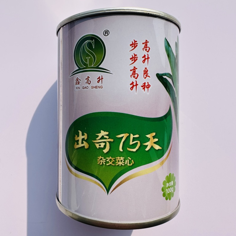 出奇65天菜心种子四季菜苔种子广东四九菜心种籽味甜油青翠