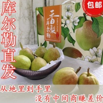 包邮库尔勒香梨梨原产地自产自销水果批发