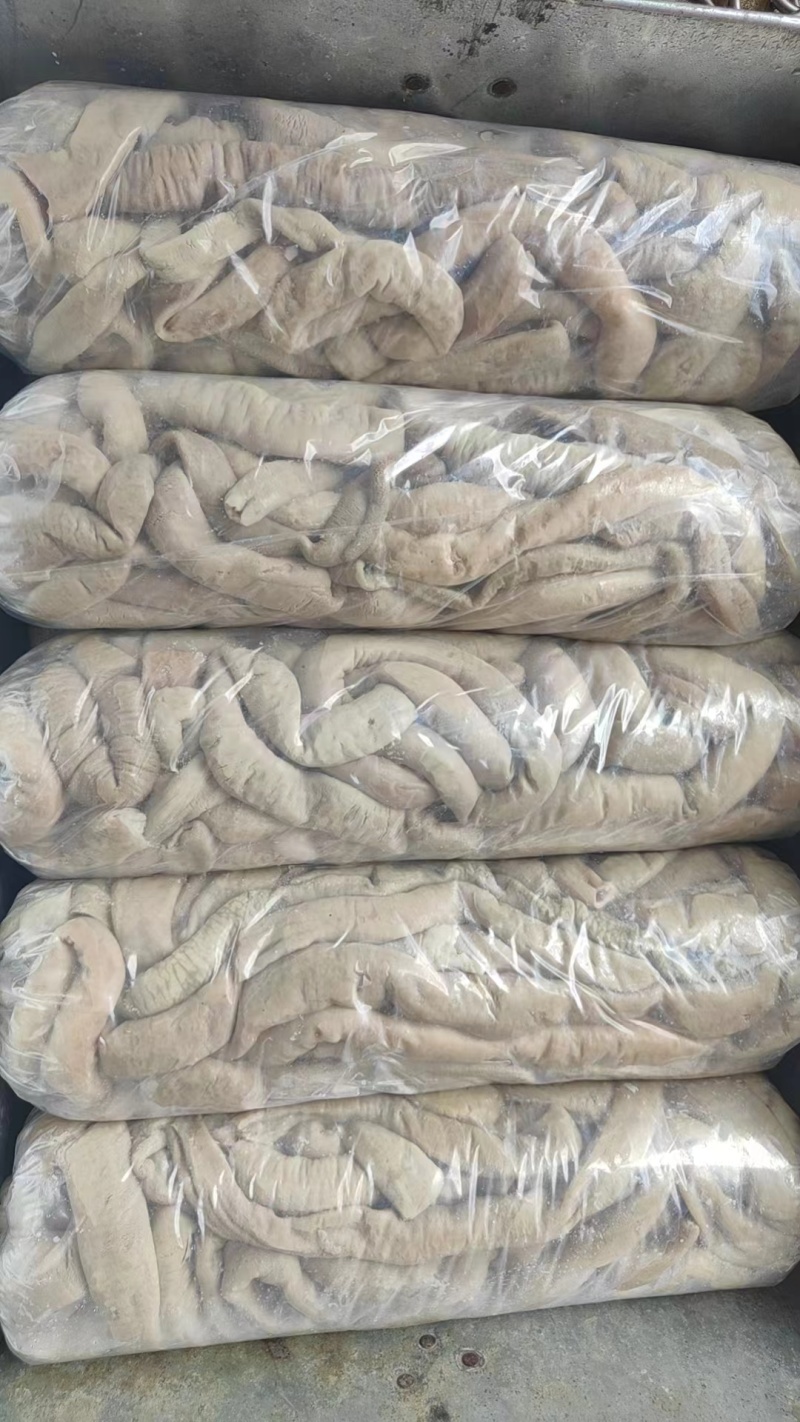八斤卷牛小肠大量上市，产地直发，品质保证，服务周到