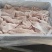 河北廊坊飞水牛小肠打开去油、片肠里外都干净稳定供应