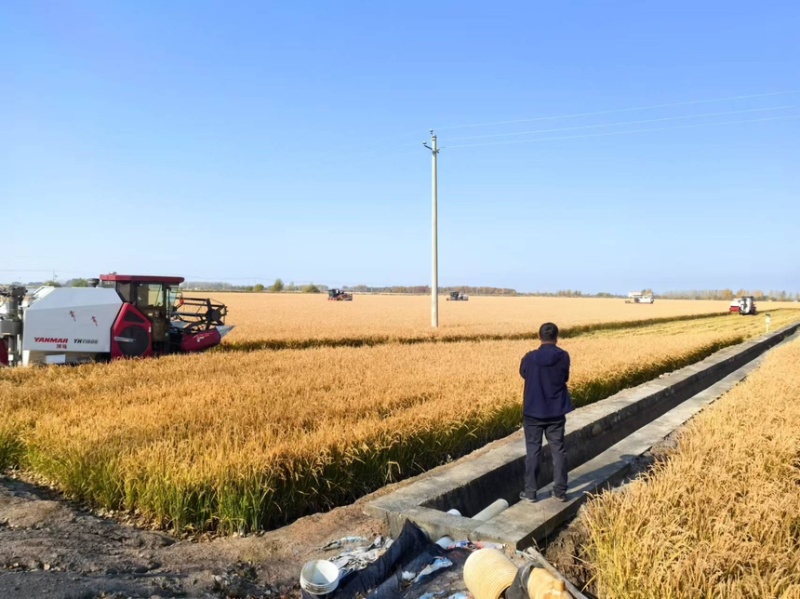 东北寒地水稻原产地，圆粒、长粒、稻花香、粘米、黑米，